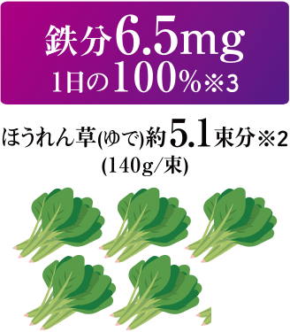 鉄分6.5mg　1日の100％（※3） ほうれん草（ゆで）約5.1束分（※2）（140g／束）