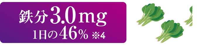 鉄分3.0mg 1日の46％ ※4