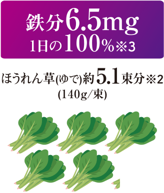 鉄分6.5mg　1日の100％（※3） ほうれん草（ゆで）約5.1束分（※2）（140g／1束）