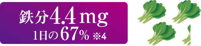 鉄分4.4mg 1日の67％ ※4