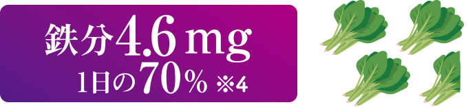 鉄分4.6mg 1日の70％ ※4