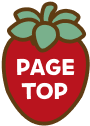 PAGETOP