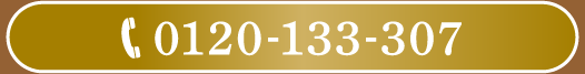 0120-133-307